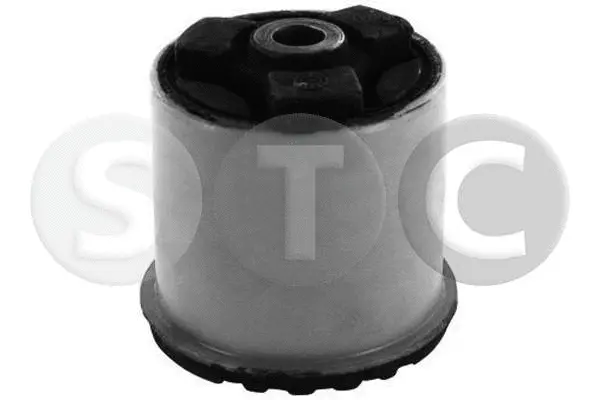 Suspension, corps de l'essieu STC T406005