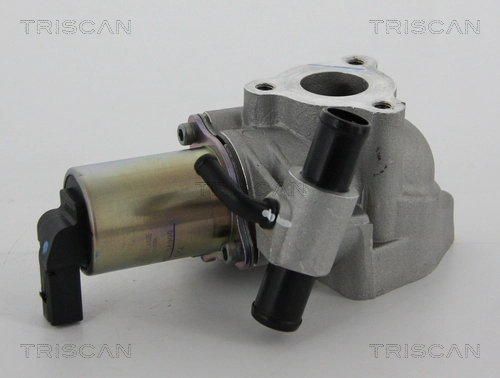 Vanne EGR TRISCAN 8813 43020