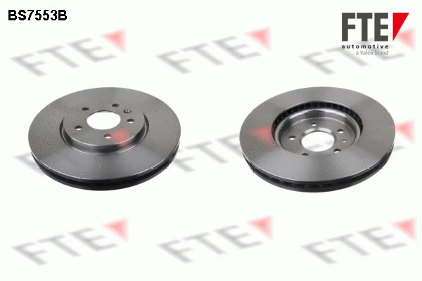Disque de frein FTE 9081138