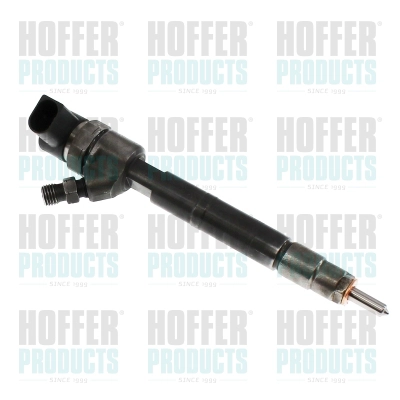 Injecteur HOFFER H74246R