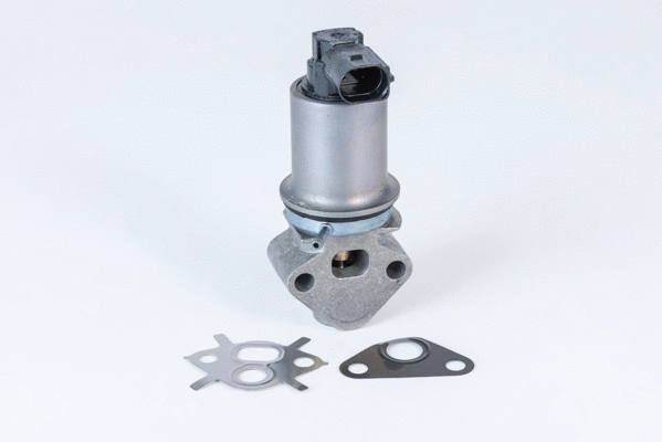 Vanne EGR BorgWarner 710771D0