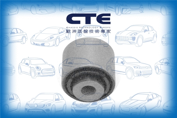 Suspension, bras de liaison CTE CBH09031