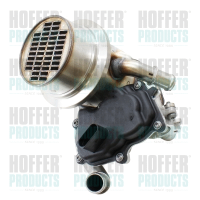 Module-EGR HOFFER 7518942
