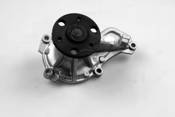 Pompe à eau, refroidissement du moteur GK 987843