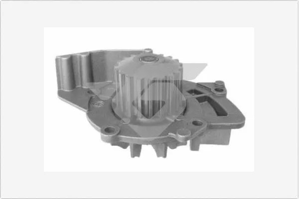 Pompe à eau, refroidissement du moteur HUTCHINSON WP60