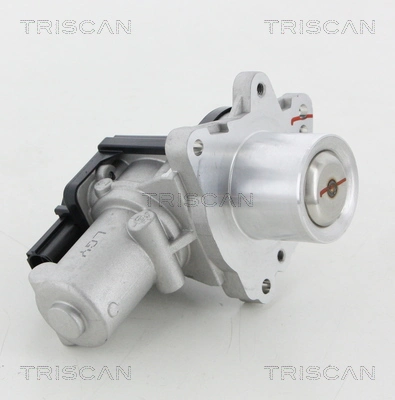 Vanne EGR TRISCAN 8813 18045