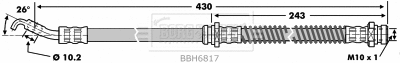 Flexible de frein BORG & BECK BBH6817
