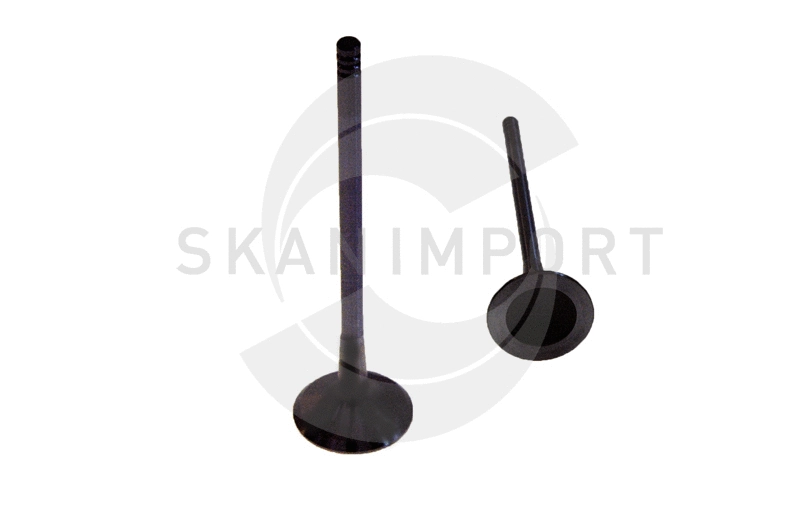 Soupape d'émission SKANIMPORT 44-6689