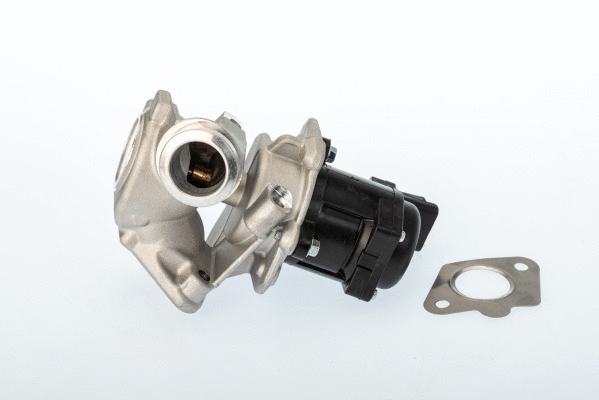 Vanne EGR BorgWarner 711020D/1