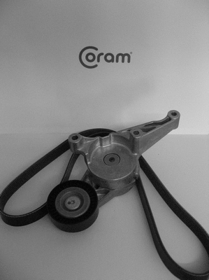 Jeu de courroies trapézoïdales à nervures CORAM KTC1001.50