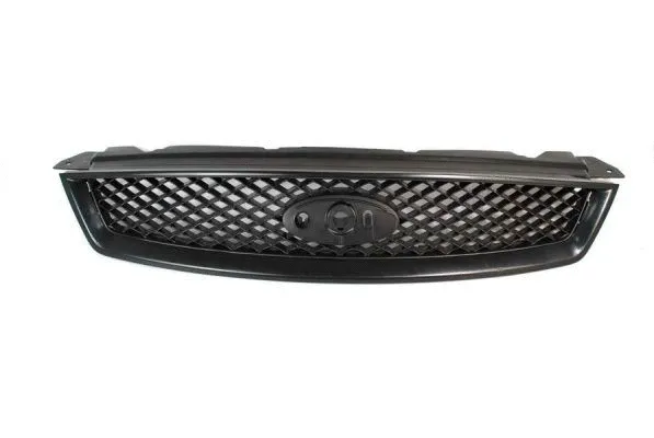 Grille de radiateur BLIC 6502-07-2533990P