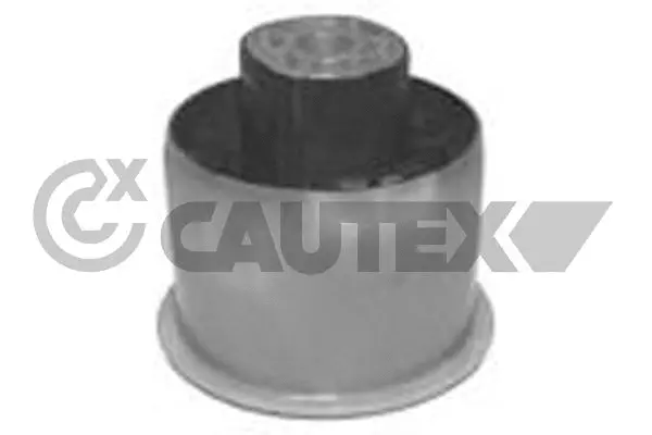 Suspension, corps de l'essieu CAUTEX 755682