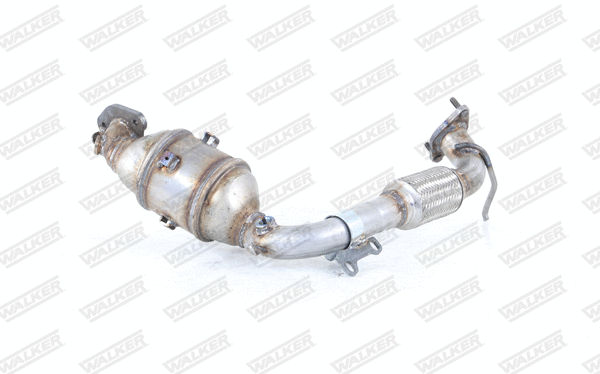 Catalyseur WALKER 28730