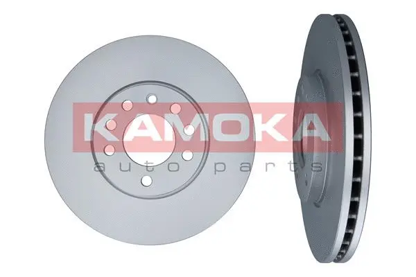 Disque de frein KAMOKA 1031620
