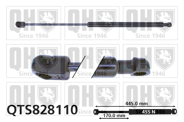 Vérin de hayon, de coffre QUINTON HAZELL QTS828110