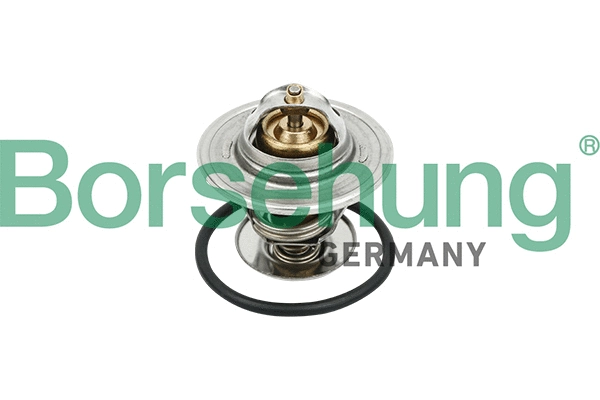 Thermostat, liquide de refroidissement Borsehung B18281