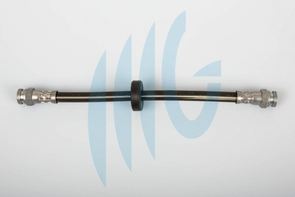 Flexible de frein RICAMBIFLEX GM 02120266