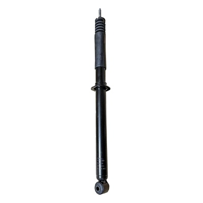 Amortisseur GOOM F220G1381