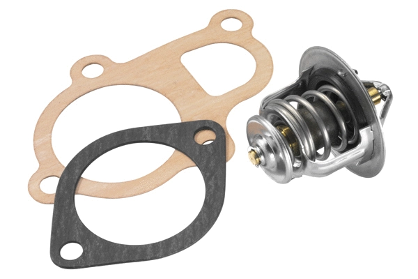 Thermostat, liquide de refroidissement BorgWarner (Wahler) 410348.82D