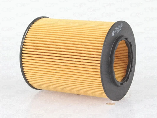 Filtre à huile OPEN PARTS EOF4066.10