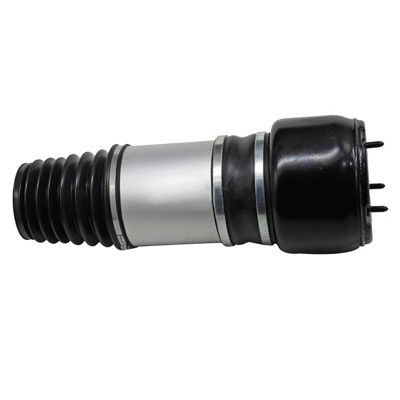 Ressort pneumatique, châssis GOLD 6410930