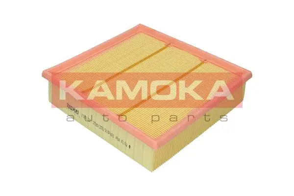Filtre à air KAMOKA F241701