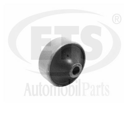 Suspension, bras de liaison ETS 19.SB.521