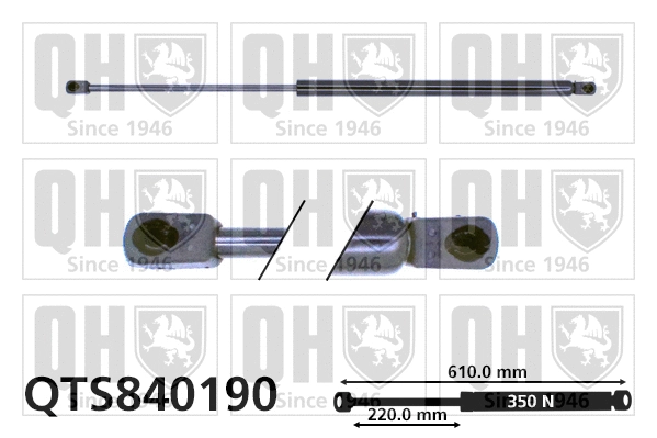Vérin de hayon, de coffre QUINTON HAZELL QTS840190