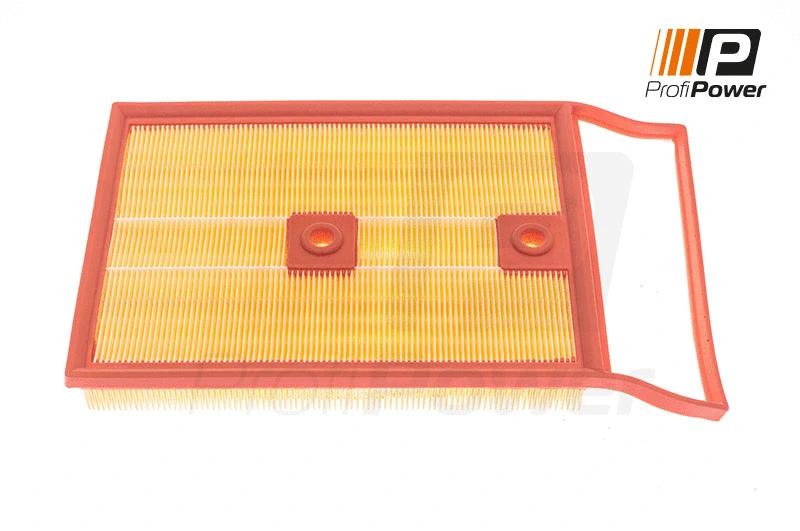 Filtre à air ProfiPower 2F0095