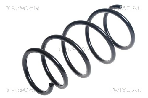 Ressort de suspension TRISCAN 8750 13206