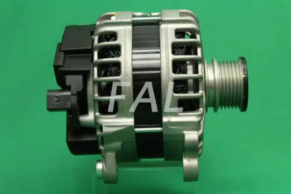 Alternateur FAL Anlasser- und Lichtmaschinenservice F015873/2