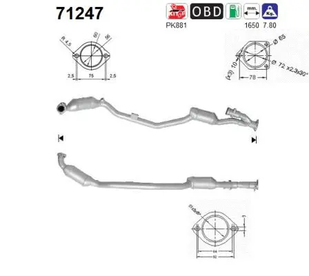 Catalyseur AS 71247