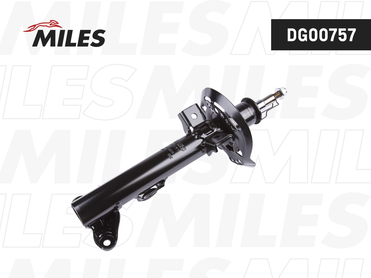 Amortisseur MILES DG00757