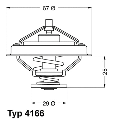 Thermostat, liquide de refroidissement BorgWarner (Wahler) 4166.79D