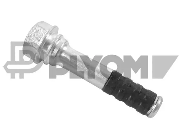 Boulon de guidage, étrier de frein PLYOM P759468