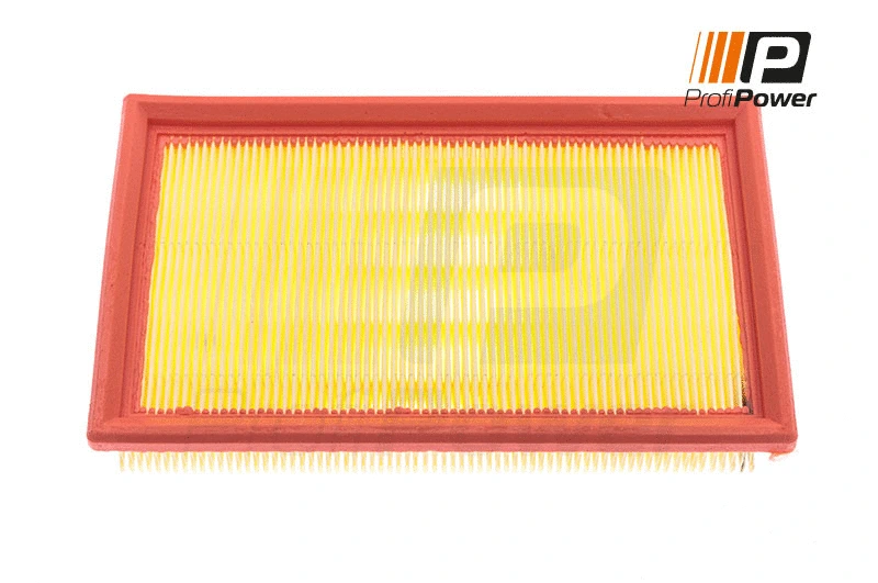 Filtre à air ProfiPower 2F0039