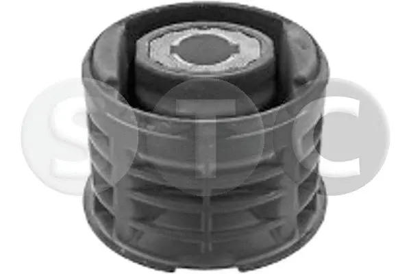Suspension, corps de l'essieu STC T456490