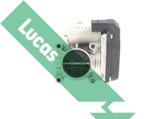 Corps papillon LUCAS LTH451