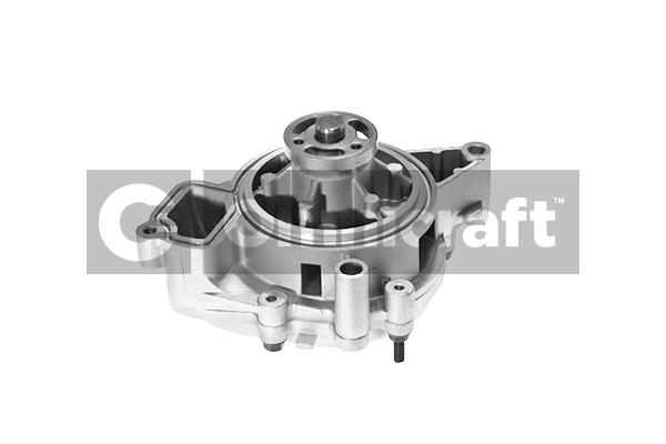 Pompe à eau, refroidissement du moteur Omnicraft 2317163