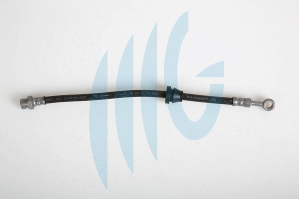 Flexible de frein RICAMBIFLEX GM 02070011