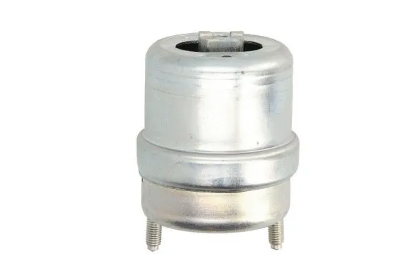Support moteur REINHOCH RH11-0129