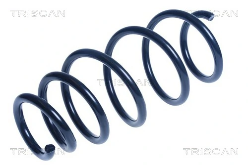Ressort de suspension TRISCAN 8750 24185