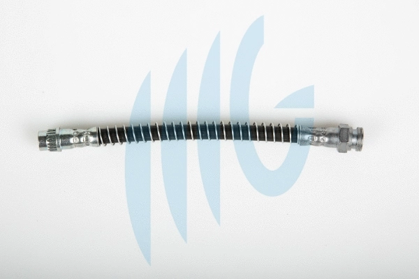 Flexible de frein RICAMBIFLEX GM 02060279