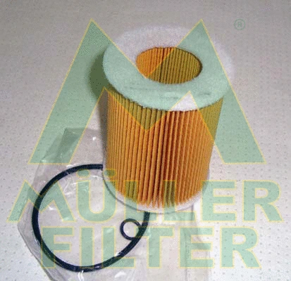 Filtre à huile MULLER FILTER FOP355