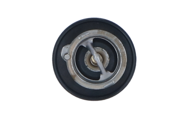 Thermostat, liquide de refroidissement WILMINK GROUP WG2184759