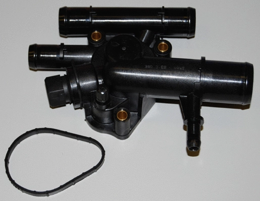 Thermostat, liquide de refroidissement BorgWarner (Wahler) 410517.89D