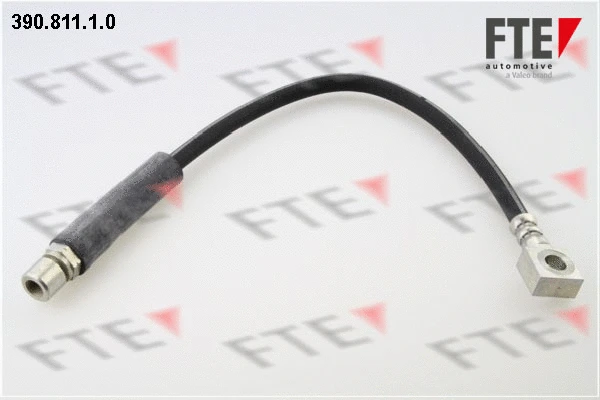 Flexible de frein FTE 9240549