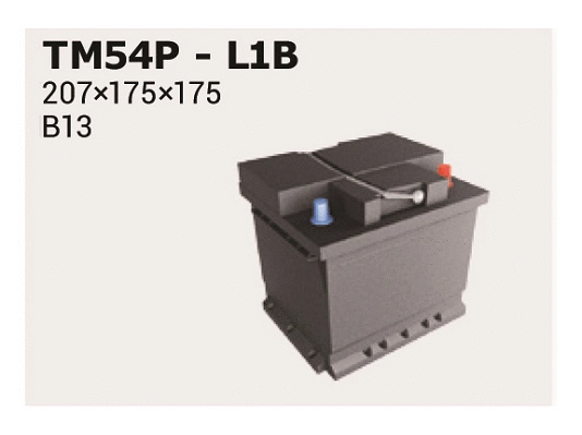 Batterie de démarrage IPSA TM54P