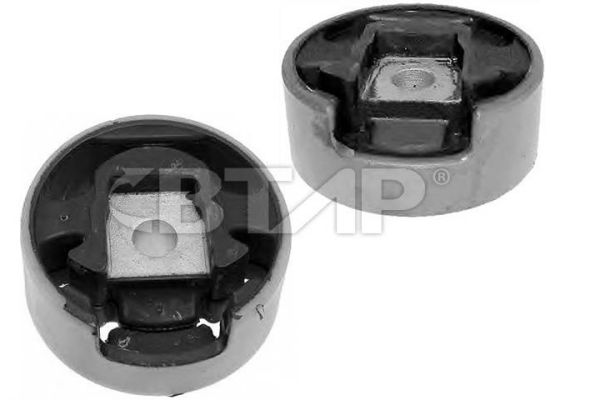 Support moteur BTAP BVE1101-020