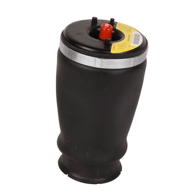 Ressort pneumatique, châssis BAPMIC BF0321290006